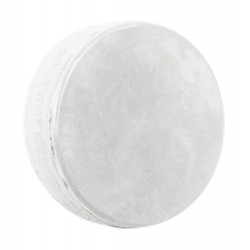 Disco "Goalie Training Puck"